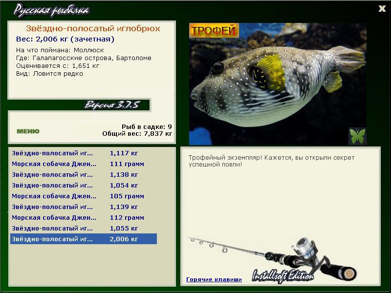 полосатый иглобрюх • Рыбы • РУССКАЯ РЫБАЛКА