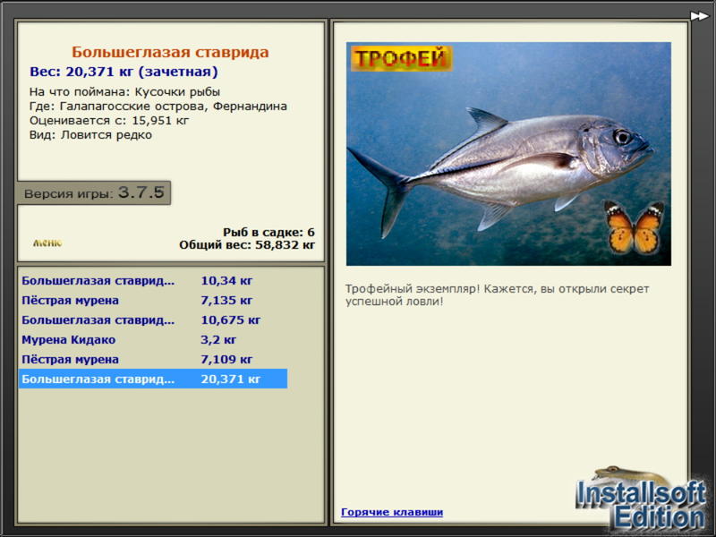 Большеглазая ставрида 