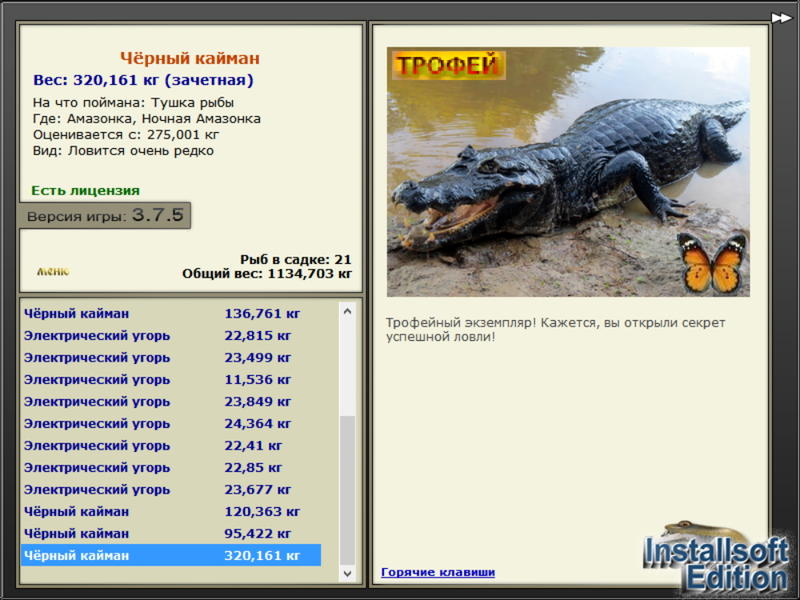 Чёрный кайман 