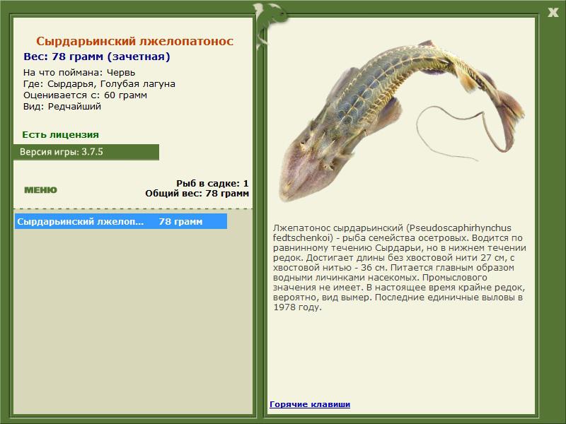 Голубая лагуна 