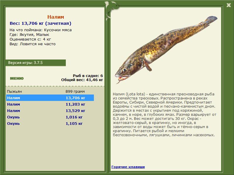 РУССКАЯ РЫБАЛКА Installsoft Edition 