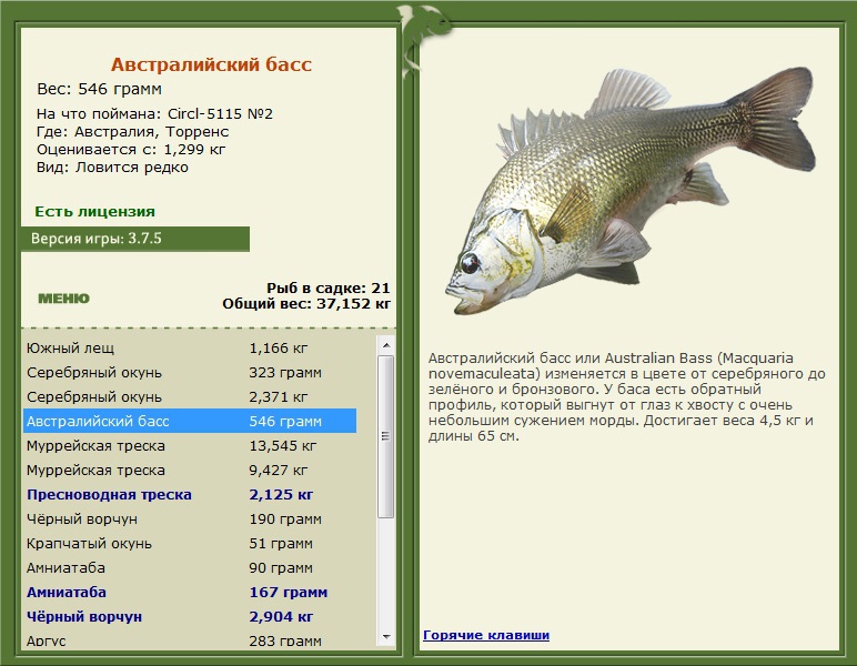 Австралия 