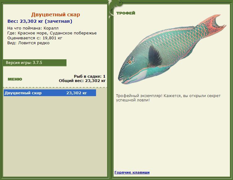 Суточные турниры, задания на суточные турниры. 