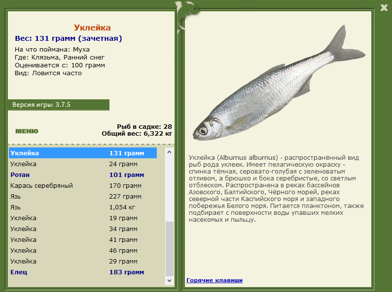 Ранний снег 