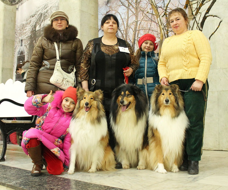 ФОРУМ ЛЮБИТЕЛЕЙ КОЛЛИ И ШЕЛТИ 