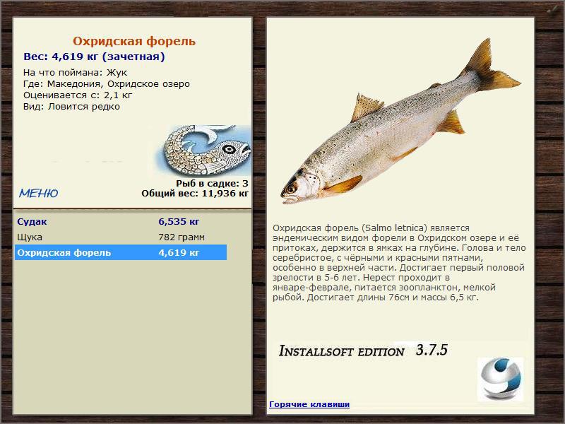 Охридское озеро 