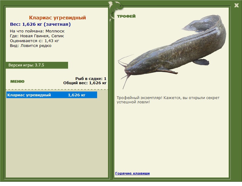 турниры • РУССКАЯ РЫБАЛКА