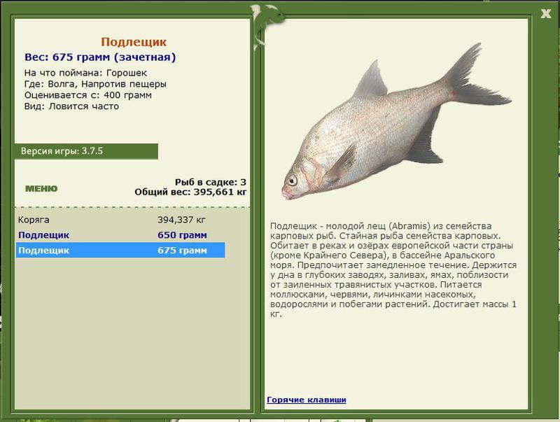 РУССКАЯ РЫБАЛКА Installsoft Edition 