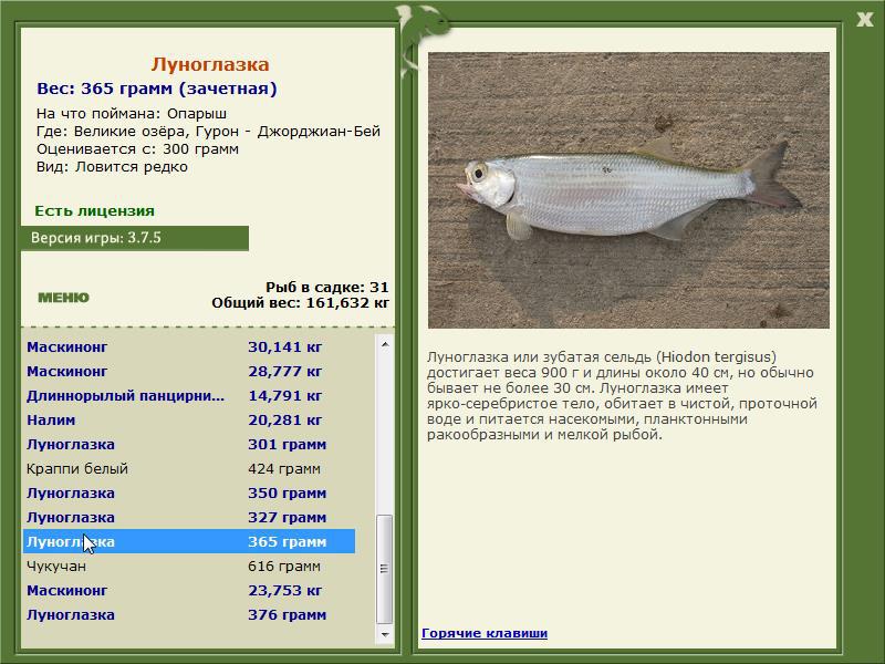 Великие озёра 
