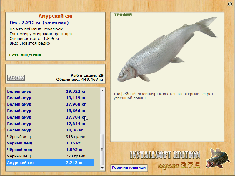 Амурский сиг 