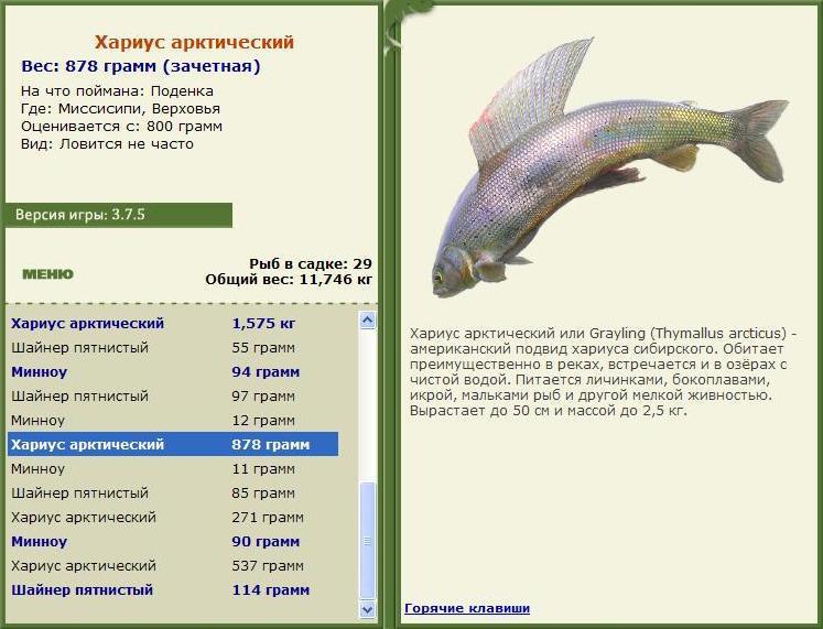 Верховья 