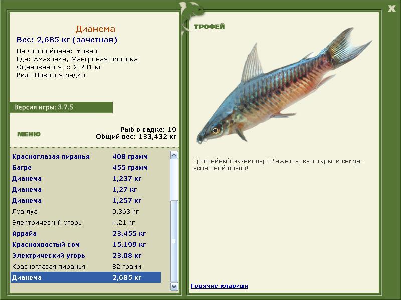 Дианема 