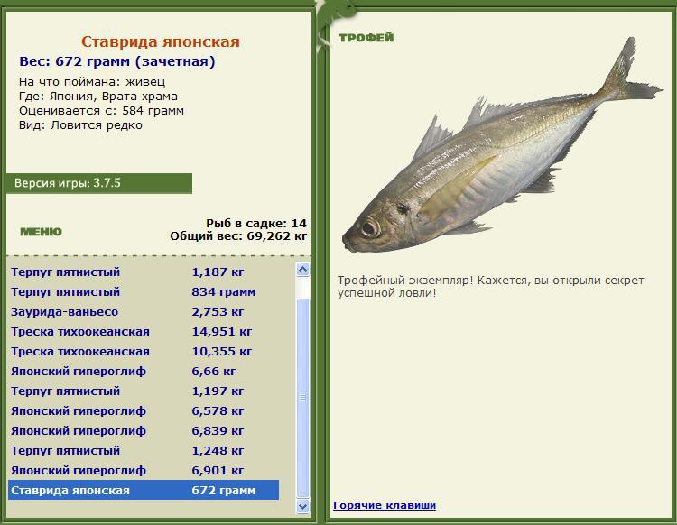 турниры • РУССКАЯ РЫБАЛКА