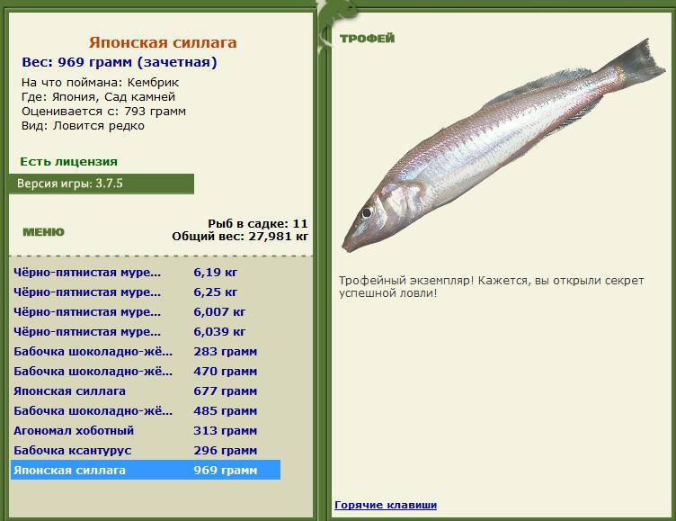 турниры • РУССКАЯ РЫБАЛКА