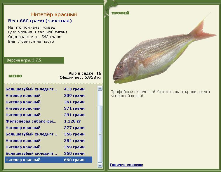 турниры • РУССКАЯ РЫБАЛКА