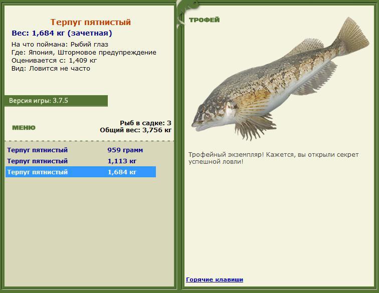 турниры • РУССКАЯ РЫБАЛКА