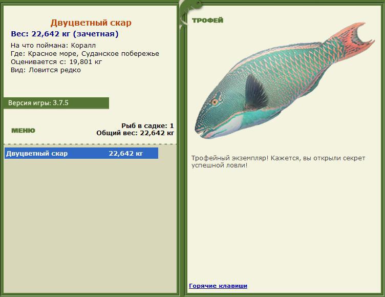 Заявки на рекорд 