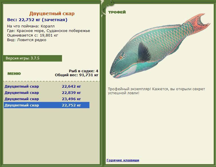 турниры • РУССКАЯ РЫБАЛКА
