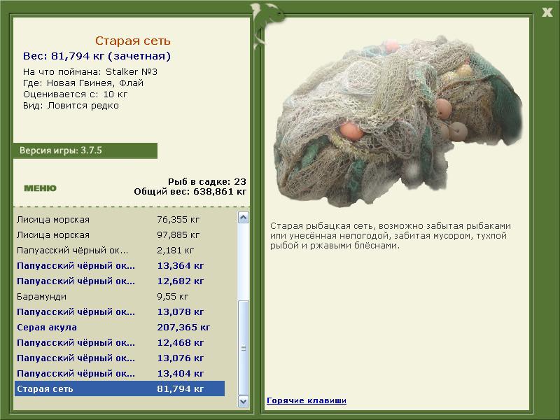 Старая сеть 