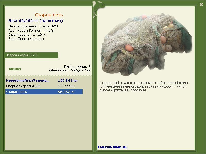 Старая сеть 