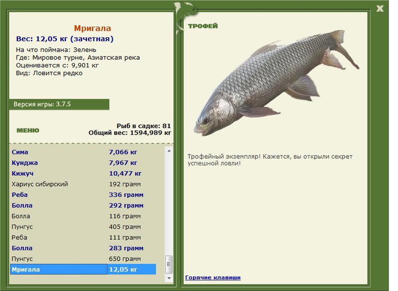 Мригала 