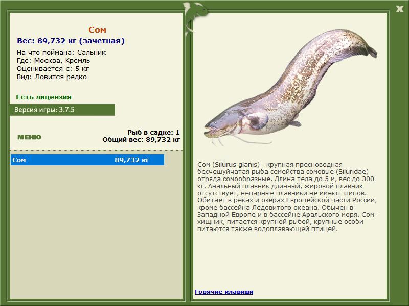 РУССКАЯ РЫБАЛКА Installsoft Edition 