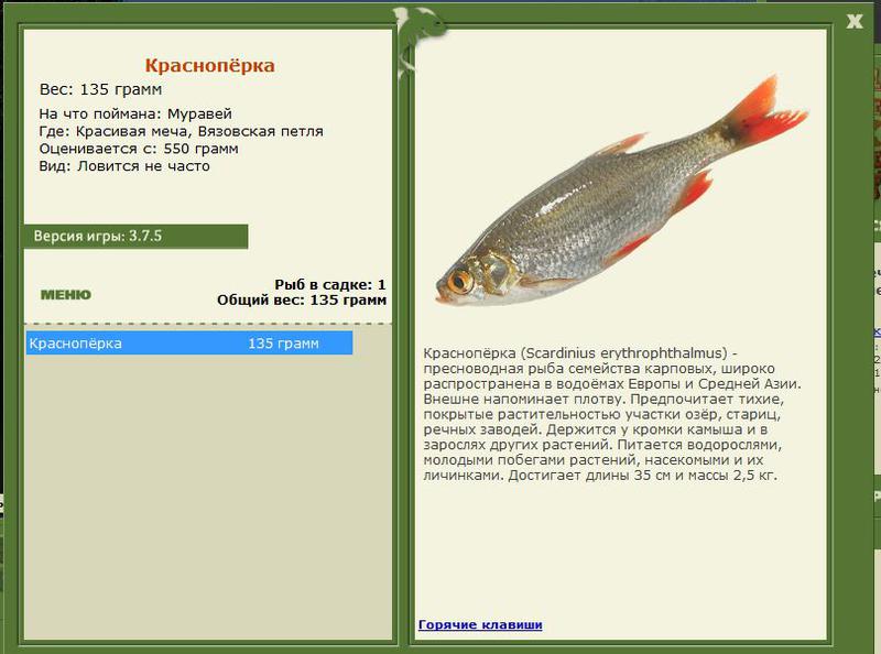 РУССКАЯ РЫБАЛКА Installsoft Edition 