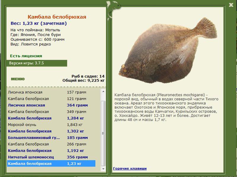 РУССКАЯ РЫБАЛКА Installsoft Edition 