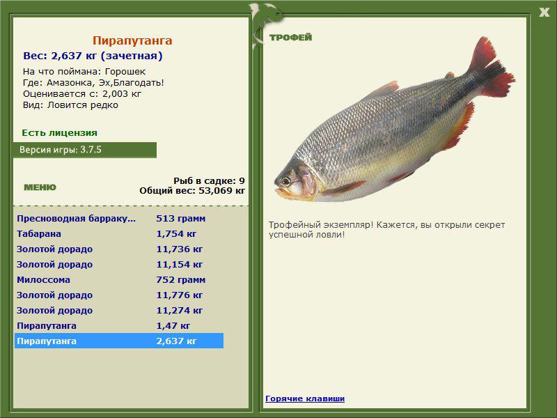 Пирапутанга 