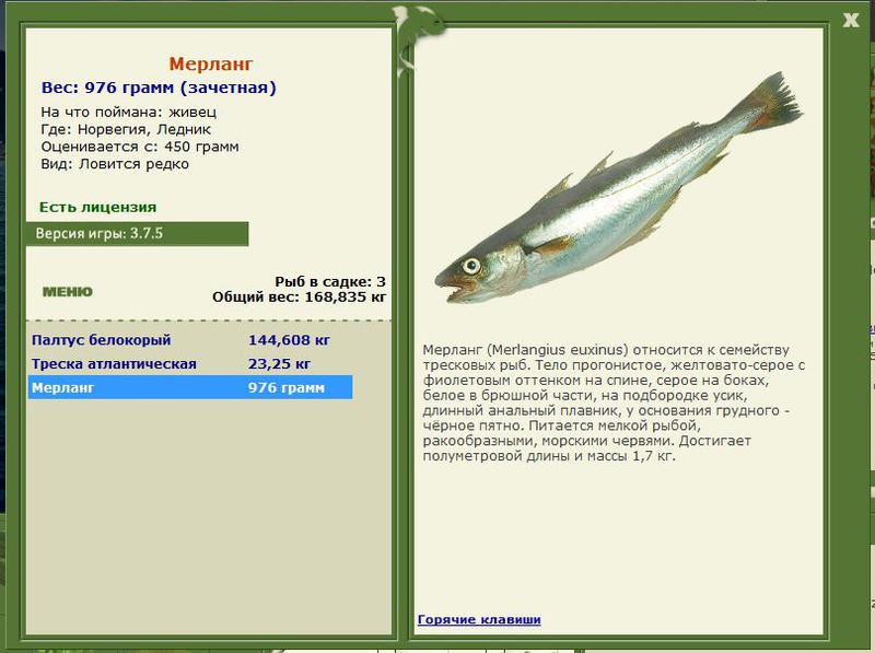 РУССКАЯ РЫБАЛКА Installsoft Edition 