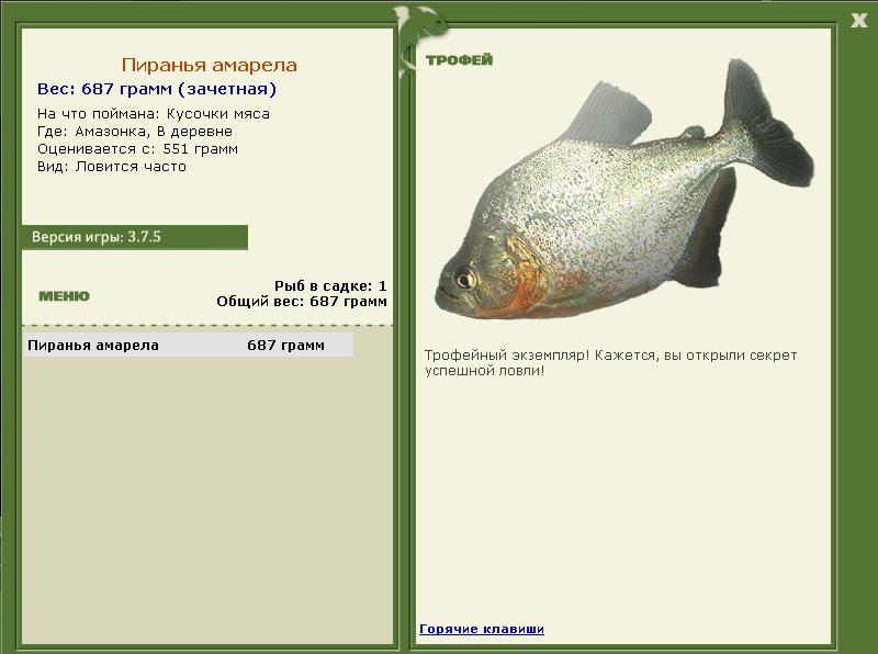 В деревне 