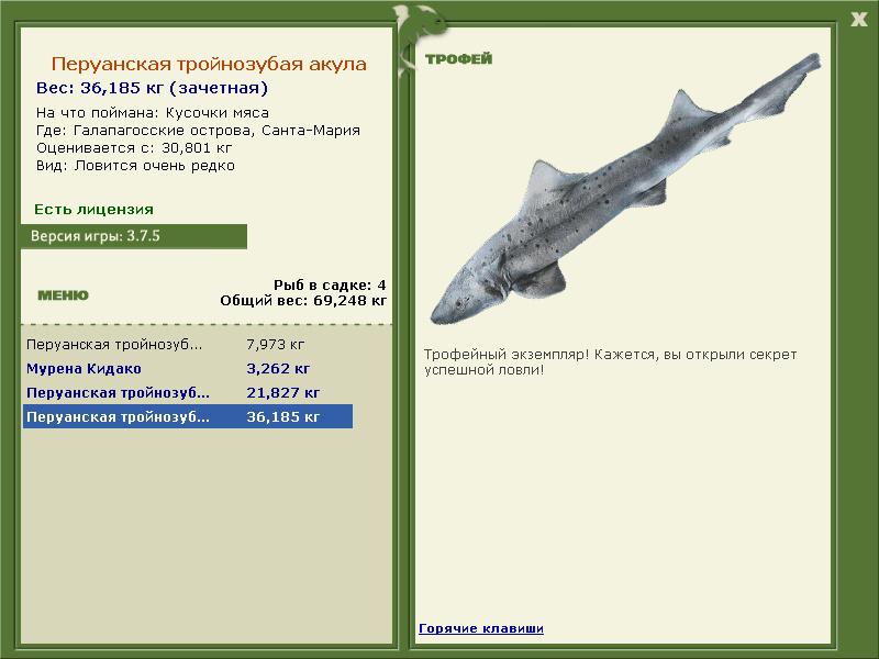 Перуанская тройнозубая акула 