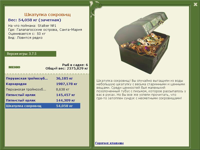 Шкатулка сокровищ 