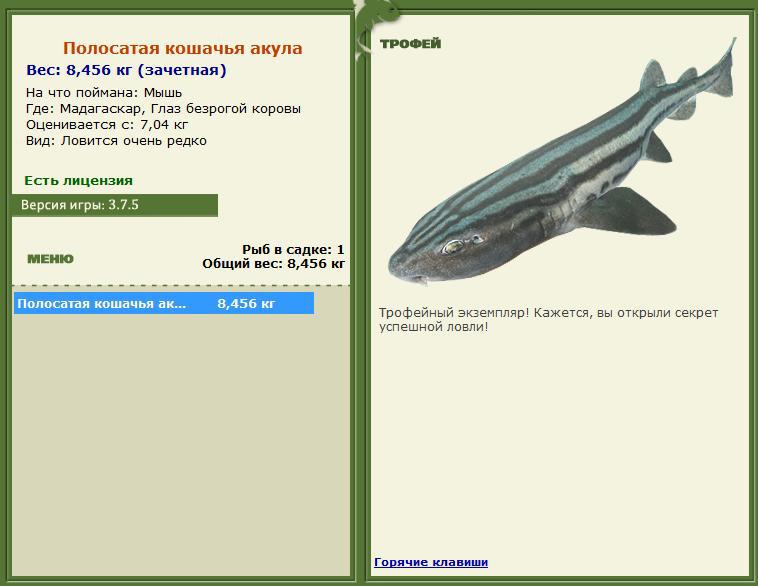 турниры • РУССКАЯ РЫБАЛКА