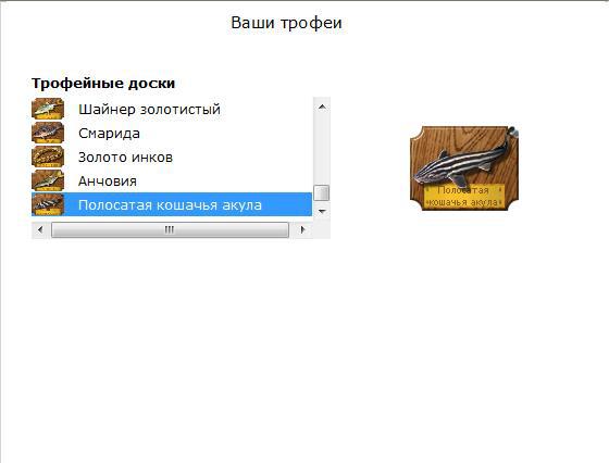 турниры • РУССКАЯ РЫБАЛКА