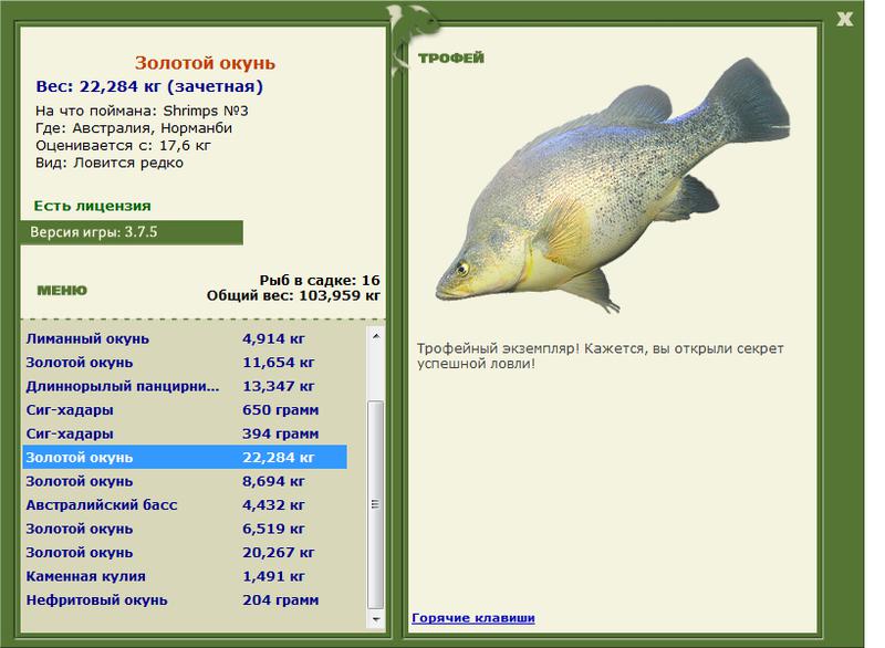 Золотой окунь 