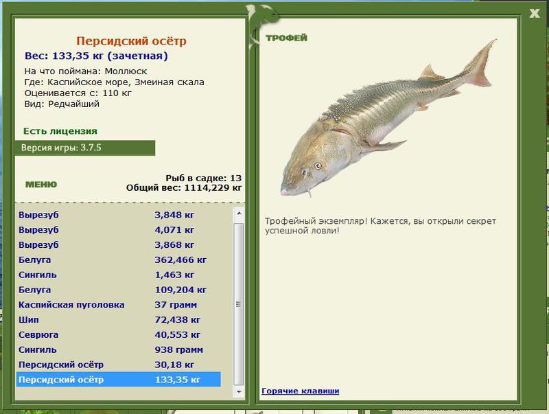 РУССКАЯ РЫБАЛКА Installsoft Edition 