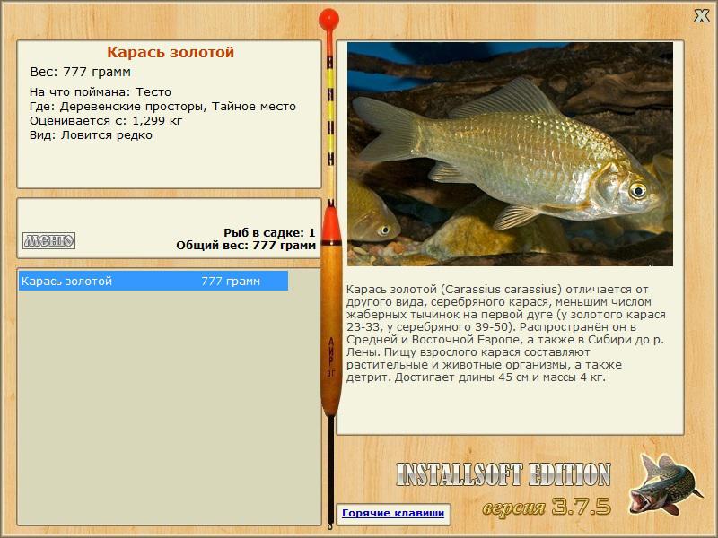 турниры • РУССКАЯ РЫБАЛКА