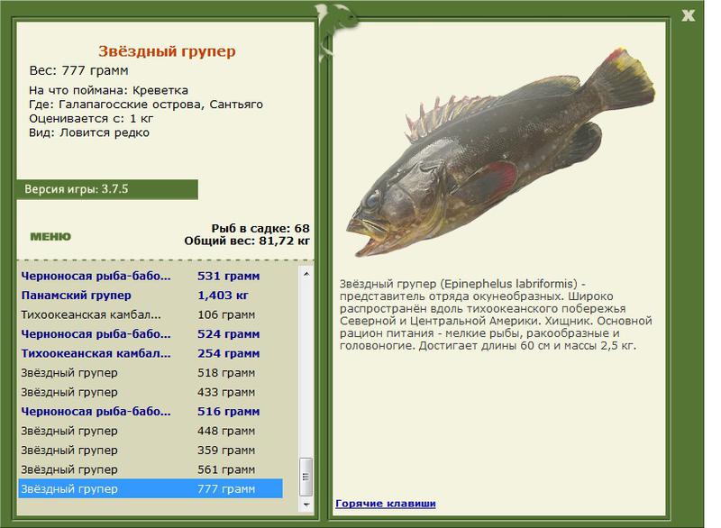 турниры • РУССКАЯ РЫБАЛКА