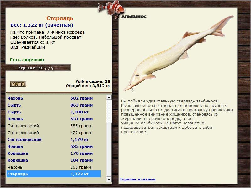 РУССКАЯ РЫБАЛКА Installsoft Edition 