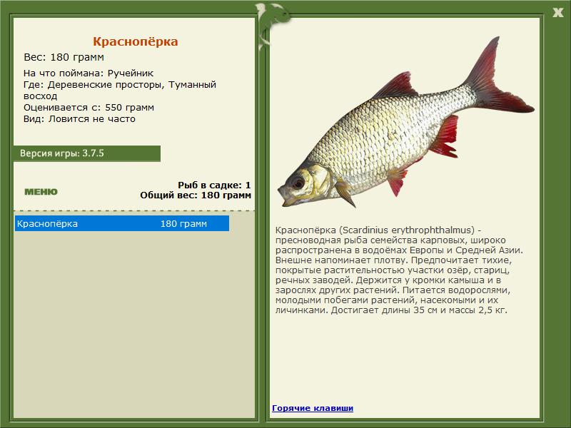 РУССКАЯ РЫБАЛКА Installsoft Edition 