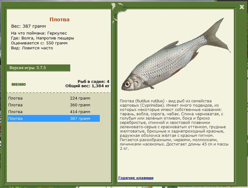 РУССКАЯ РЫБАЛКА Installsoft Edition 