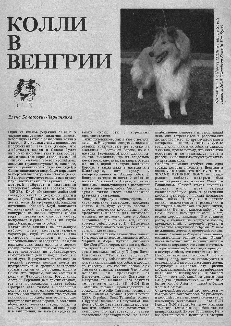 ФОРУМ ЛЮБИТЕЛЕЙ КОЛЛИ И ШЕЛТИ 