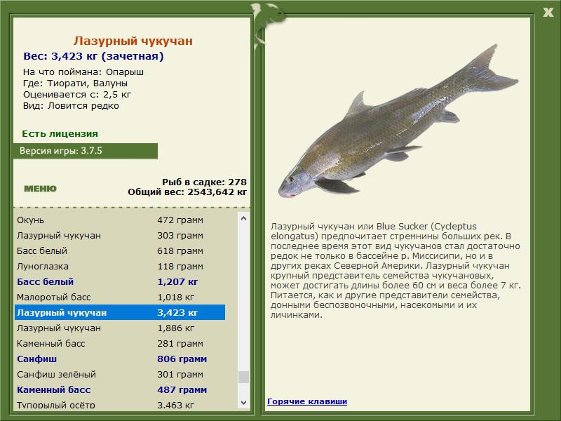 РУССКАЯ РЫБАЛКА Installsoft Edition 