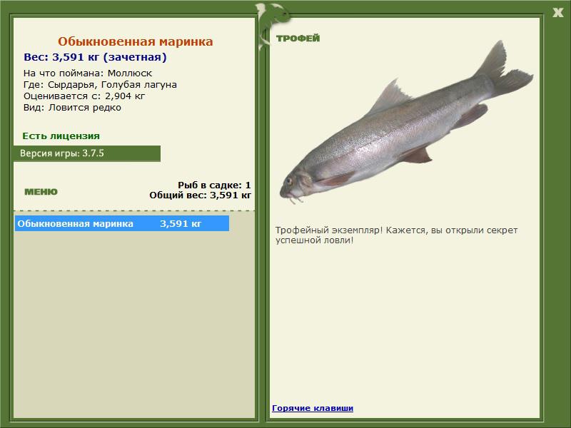 Голубая лагуна 