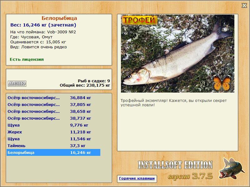 Белорыбица 