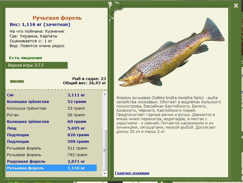 РУССКАЯ РЫБАЛКА Installsoft Edition 