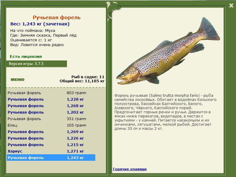 РУССКАЯ РЫБАЛКА Installsoft Edition 