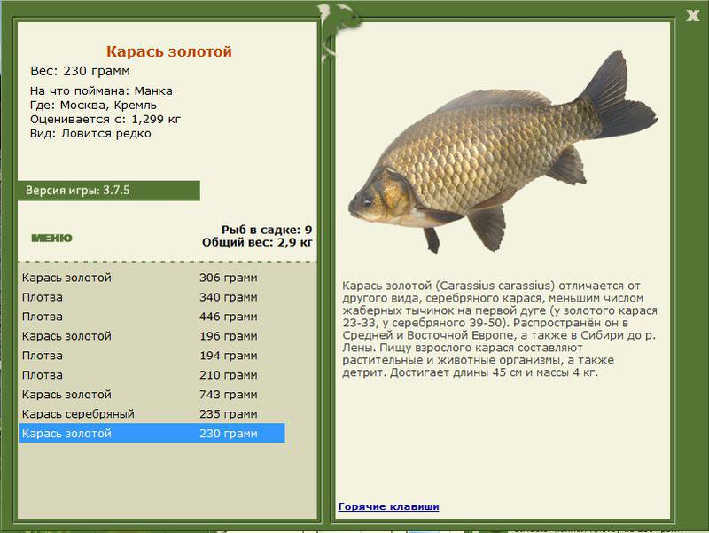 РУССКАЯ РЫБАЛКА Installsoft Edition 