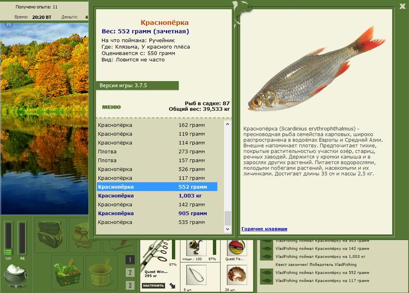 У красного плёса 